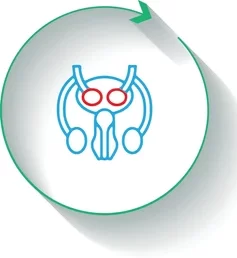 andrology-medical-specialty-that-focuses-260nw-2407119681