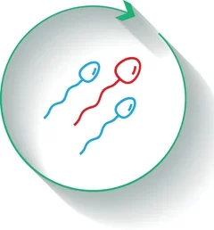 donor-sperm-known-insemination-di-260nw-2420779661